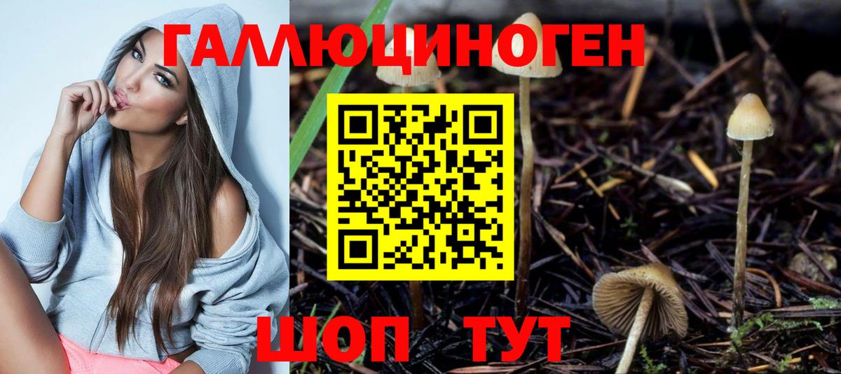 Советск  Галлюциногенные грибы прущие грибы  Псилоцибиновые грибы прущие грибы  Вход с VPN 