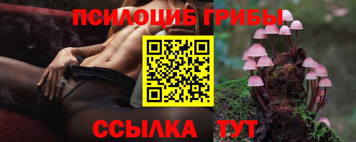Галлюциногенные грибы мицелий Советск